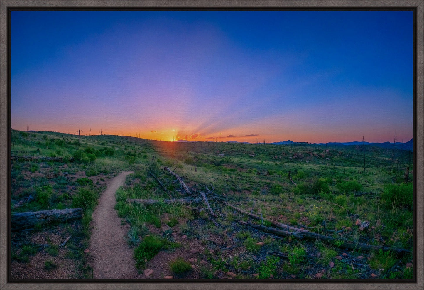 Burn Area Sunset