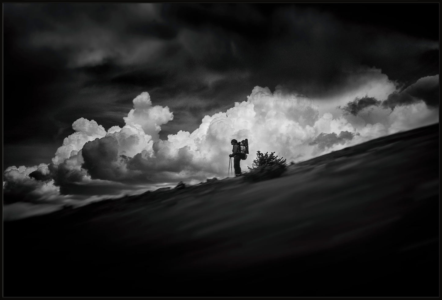 The Hiker