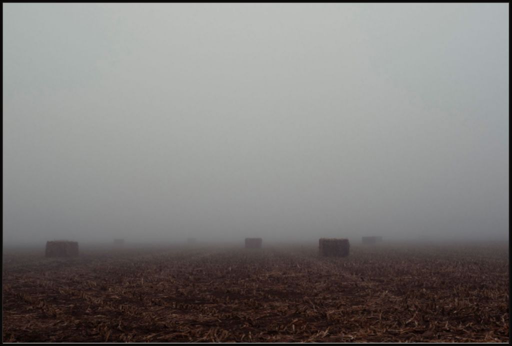 West Texas Winter Fog - 4