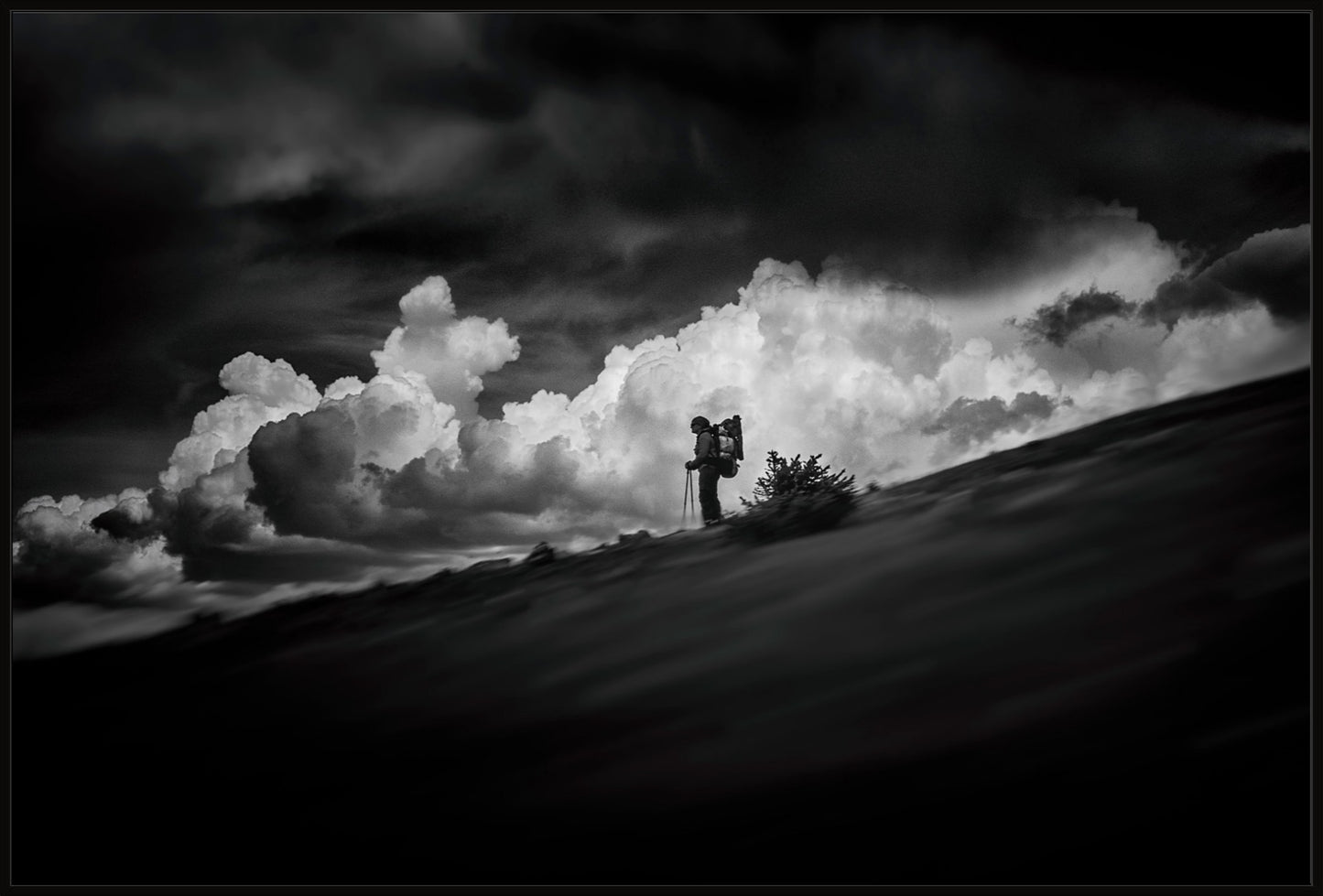 The Hiker