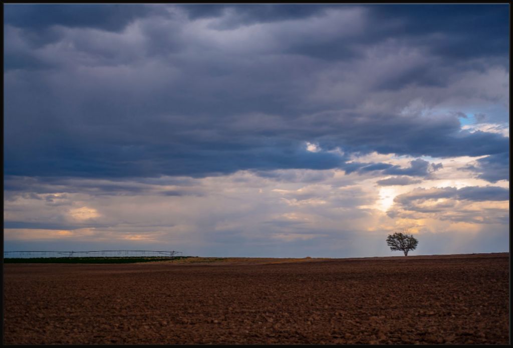 Light and Life