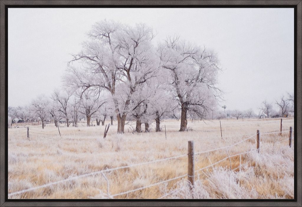 Frozen Enchantment II