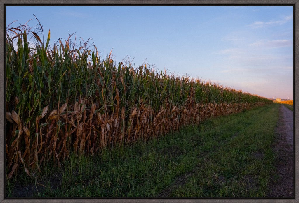Land of the Tall Corn II