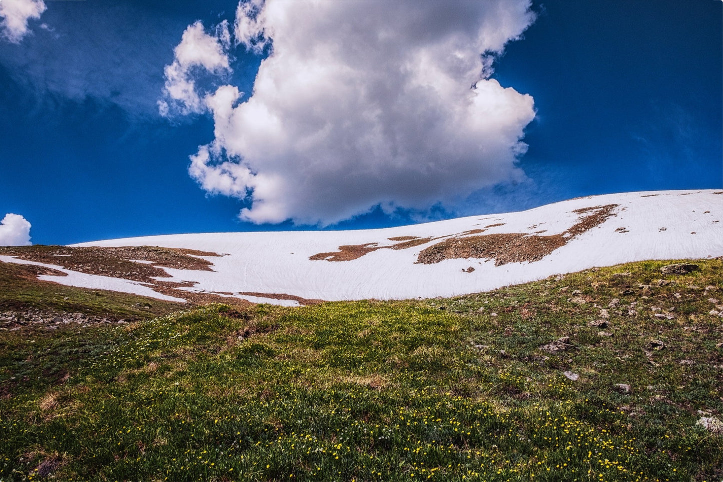 Summer Snow