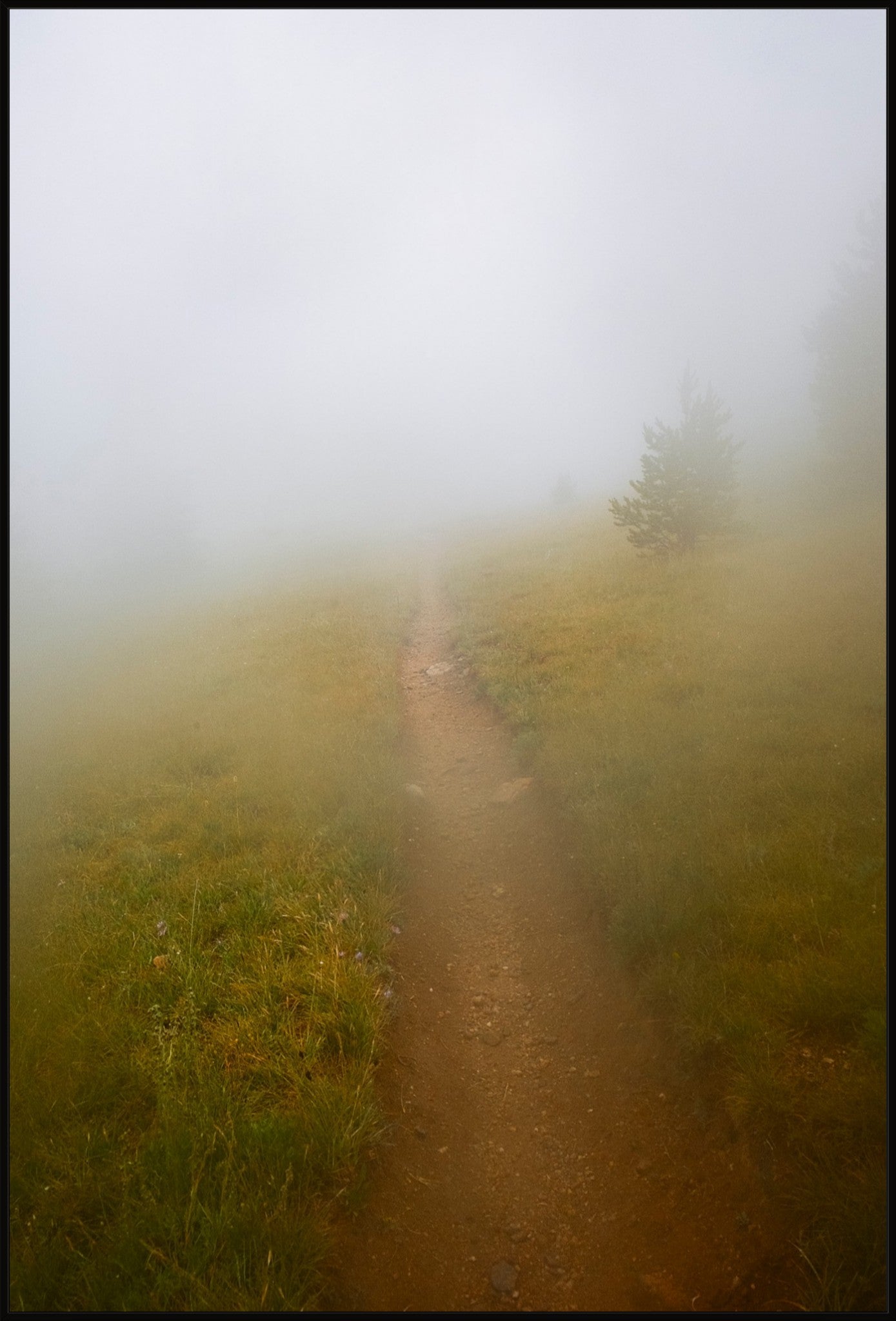Late August Fog