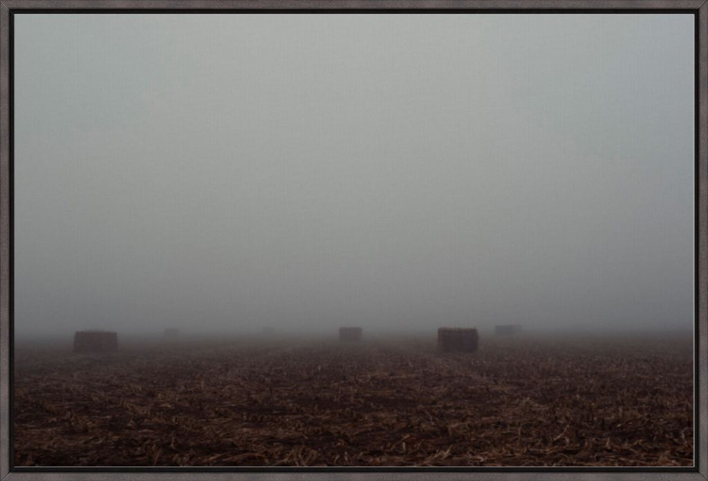 West Texas Winter Fog - 4