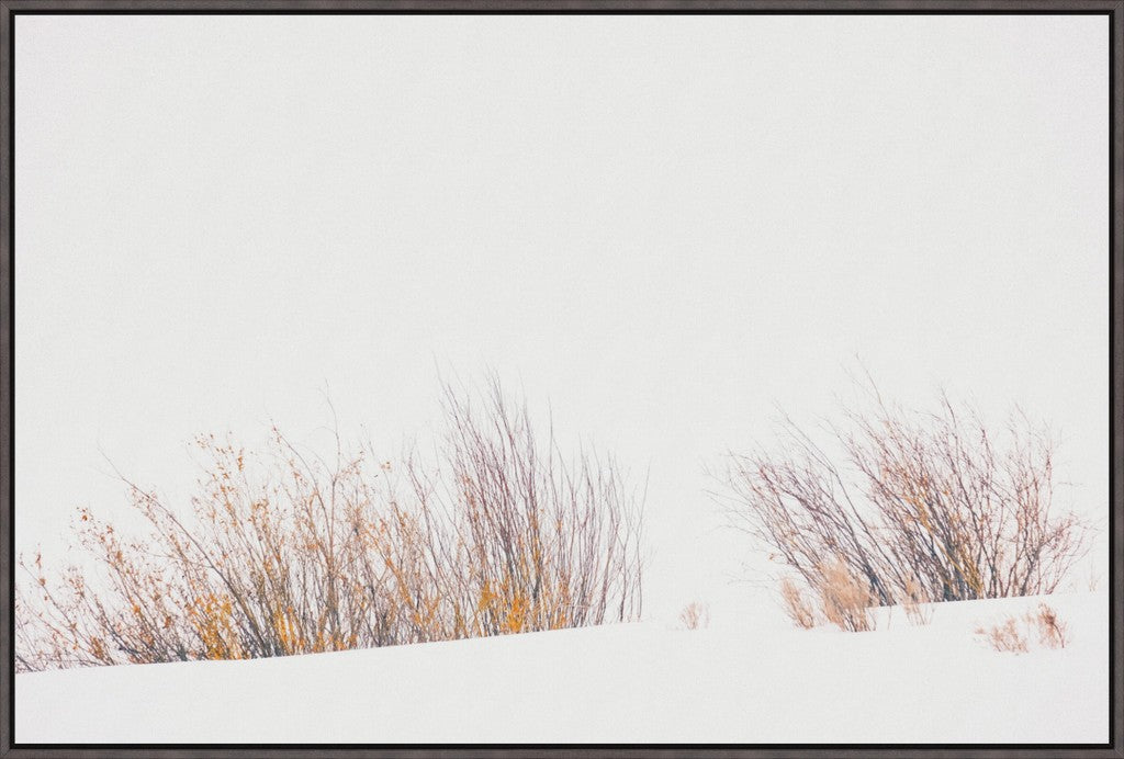 Fire & Snow