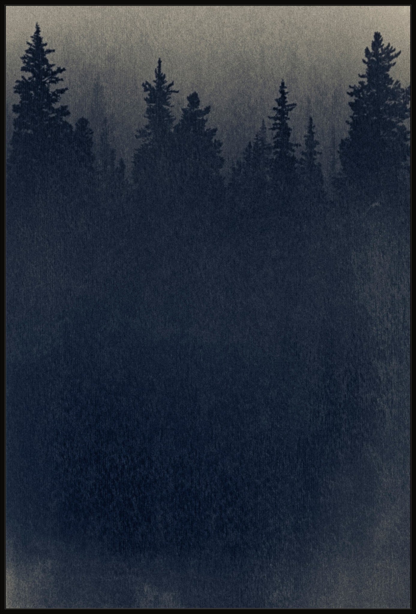 Cyanoforest