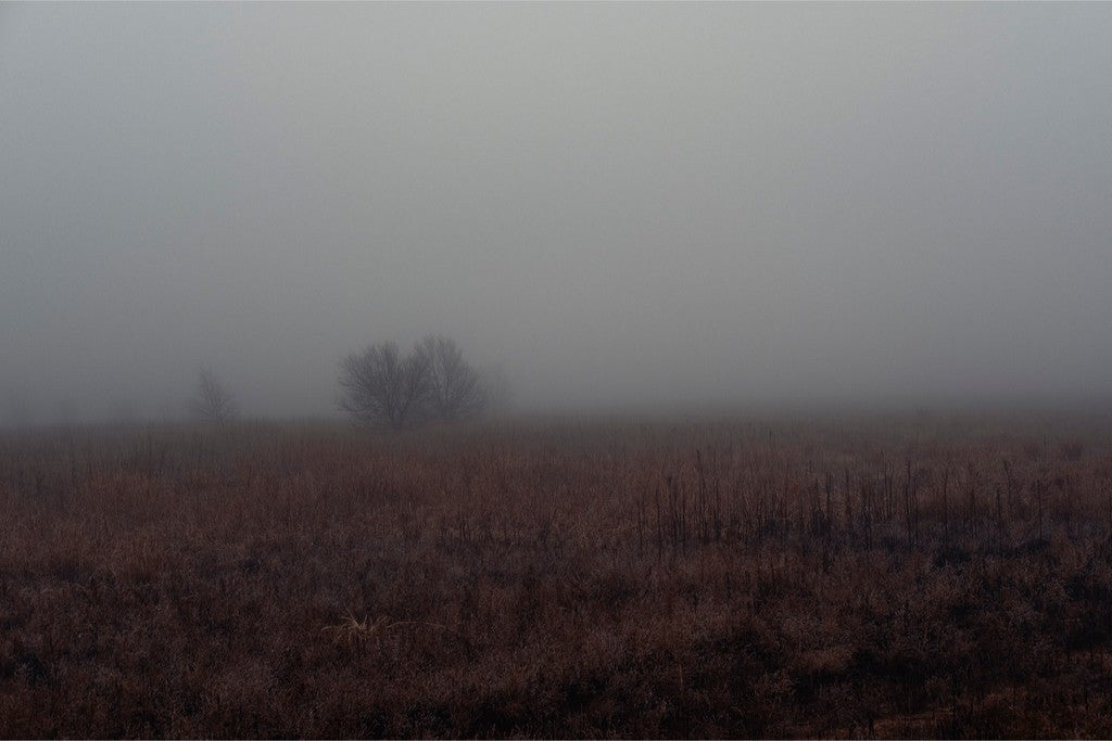 West Texas Winter Fog - 3