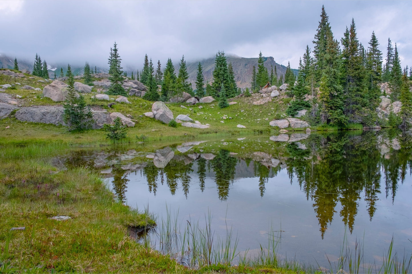 Trail Reflections