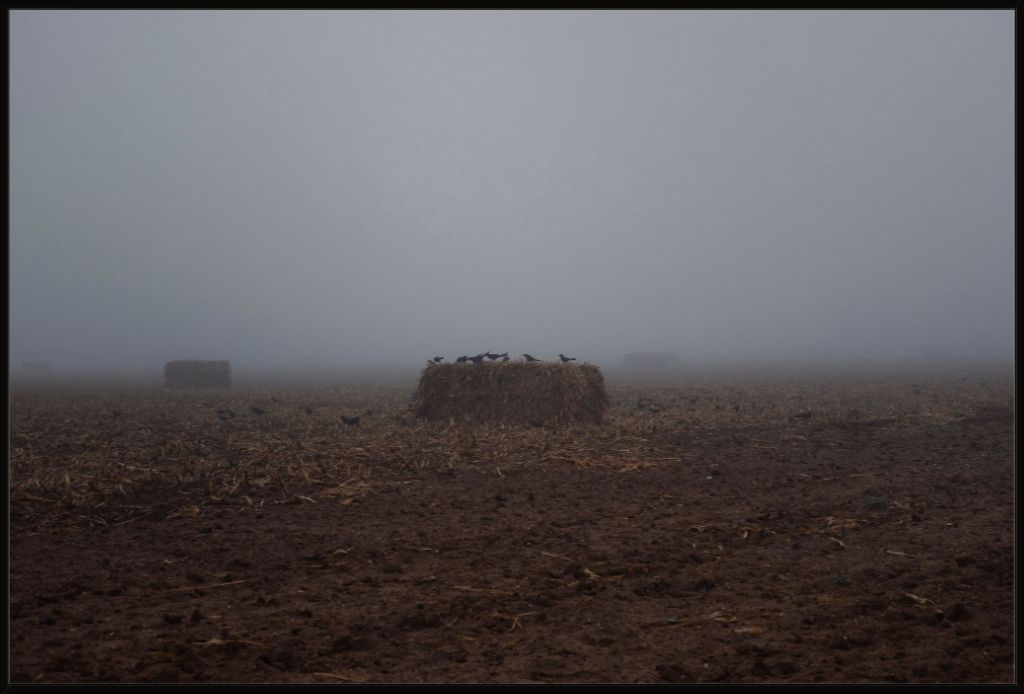 West Texas Winter Fog - 7