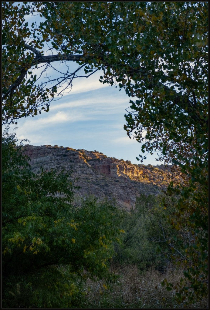 First Light on the Canyon Walls