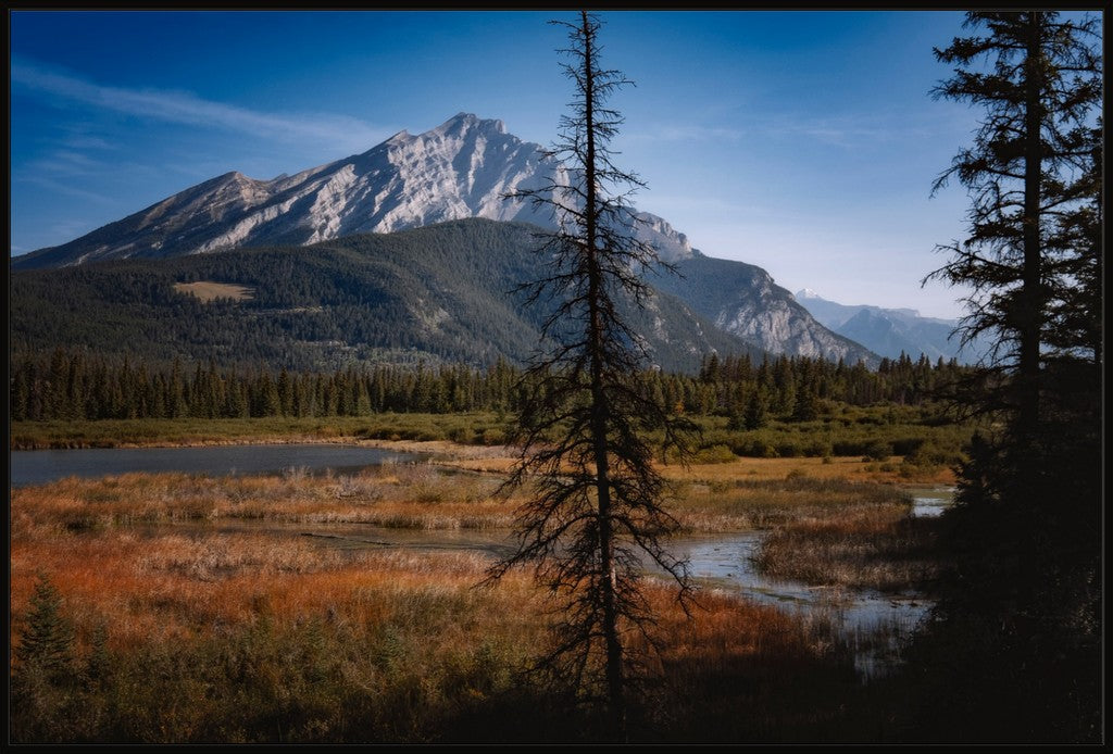 Alberta Wilderness Scene II