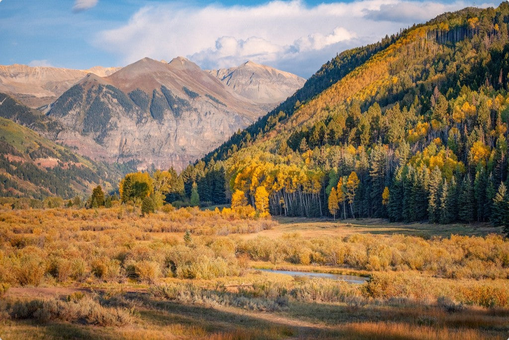 Fall in the Valley