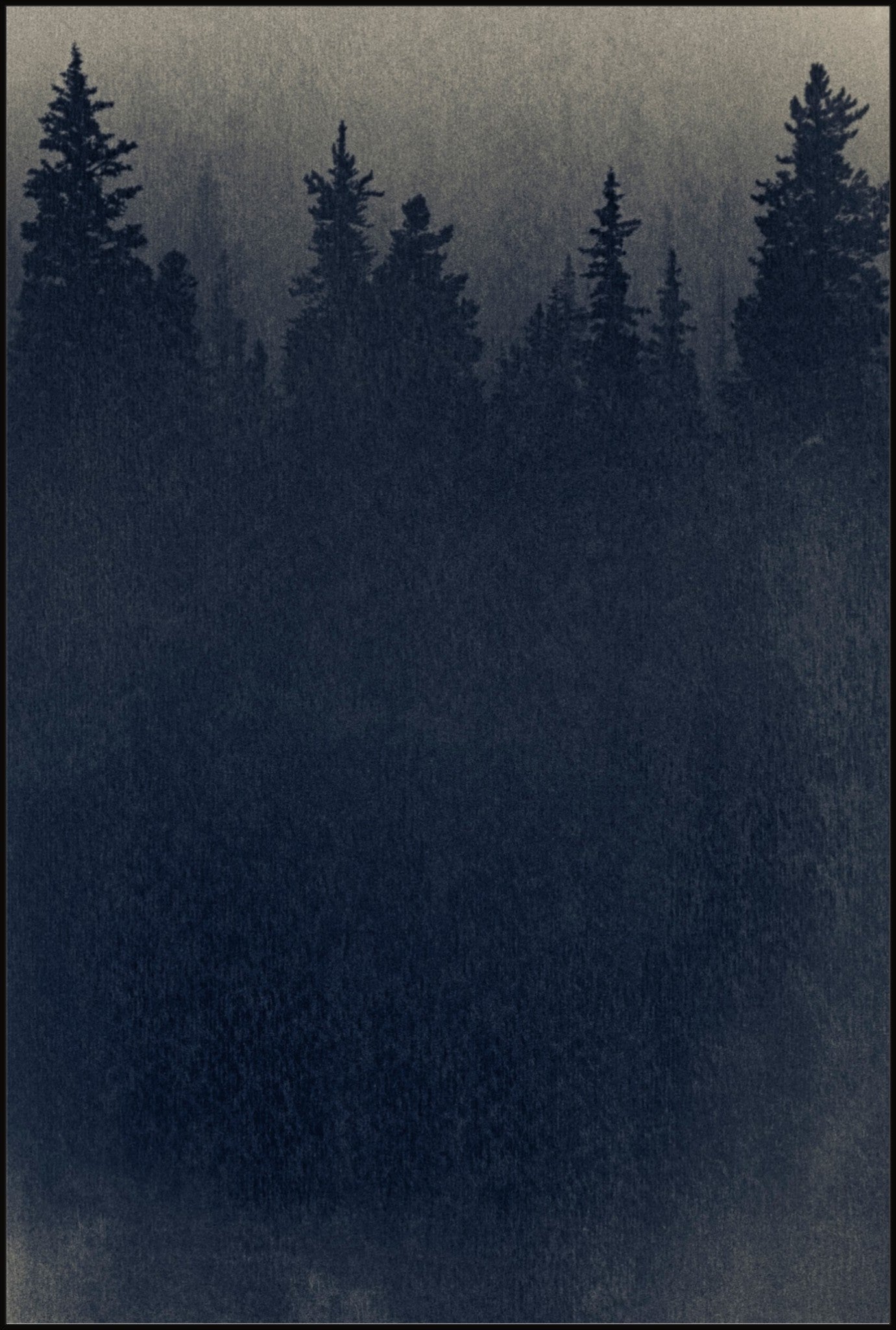 Cyanoforest