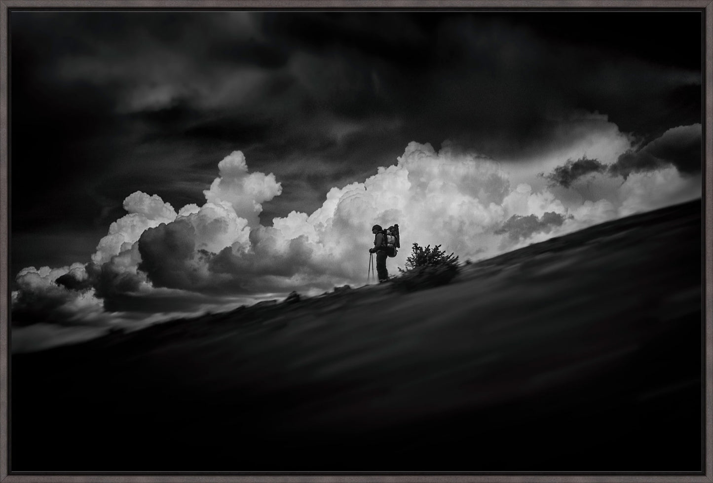 The Hiker