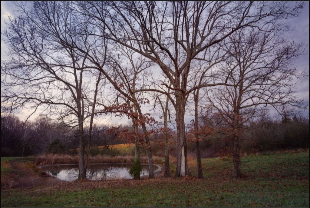 Peaceful TN Pond