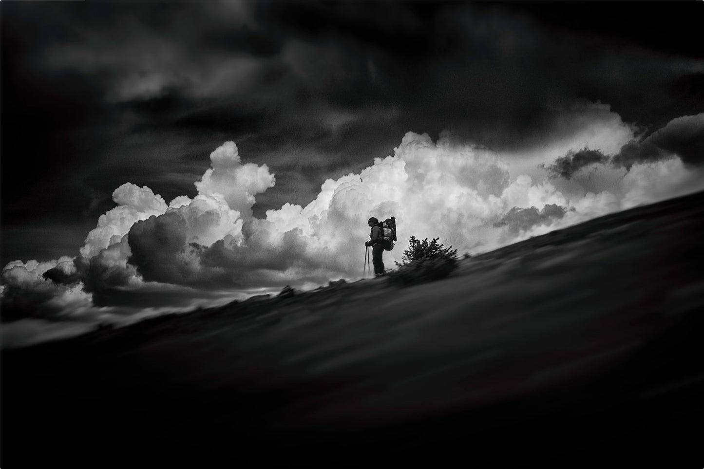The Hiker