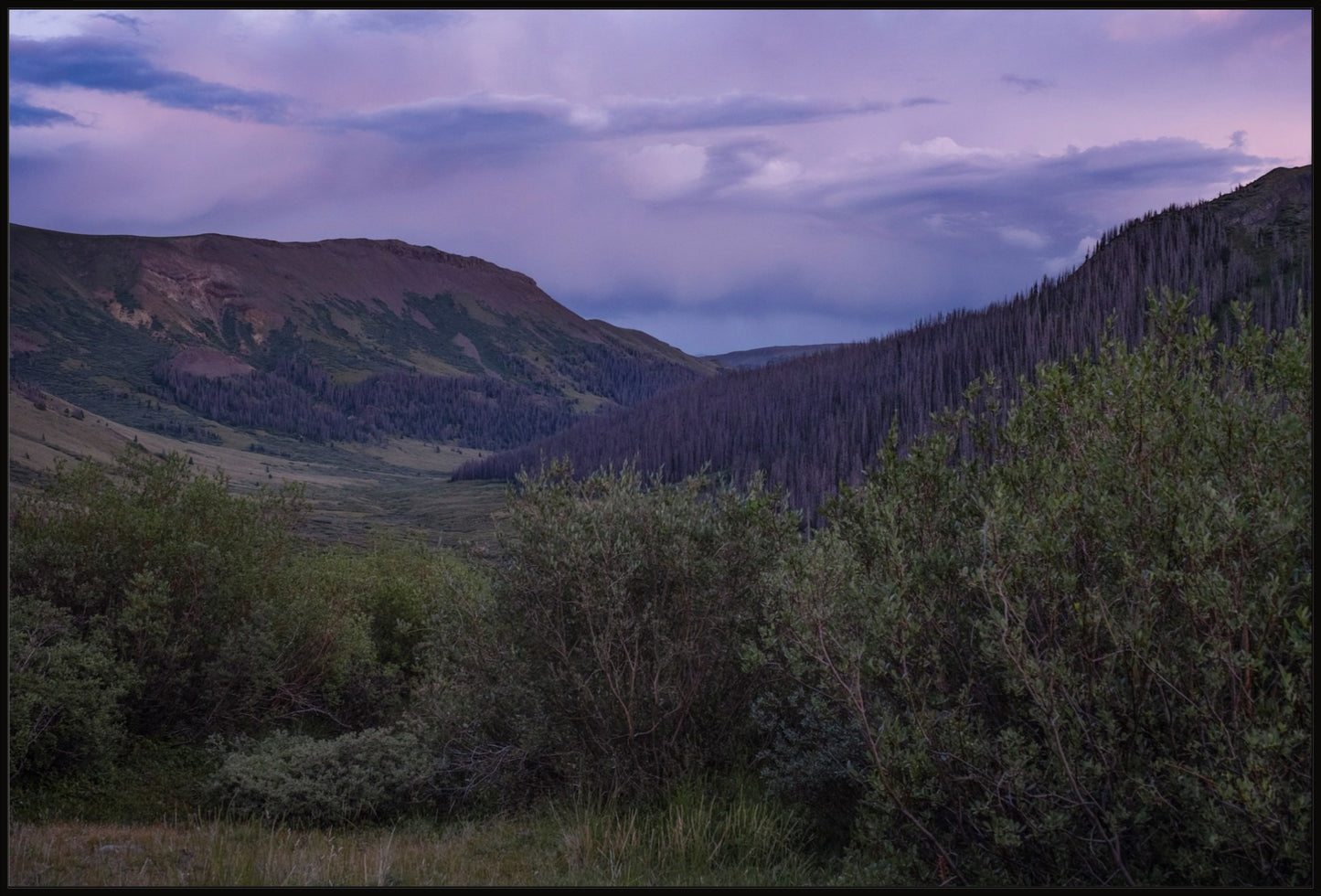 Violet Sunset I