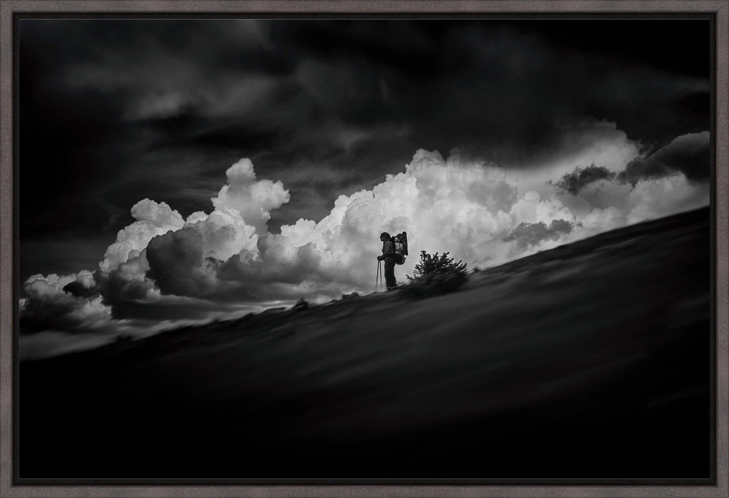 The Hiker