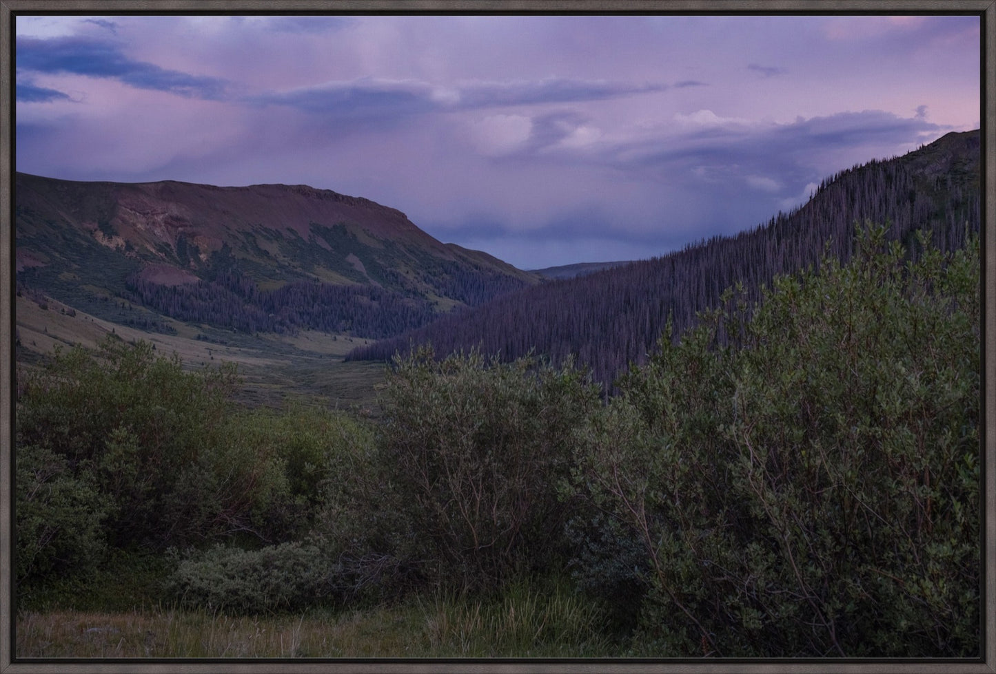 Violet Sunset I