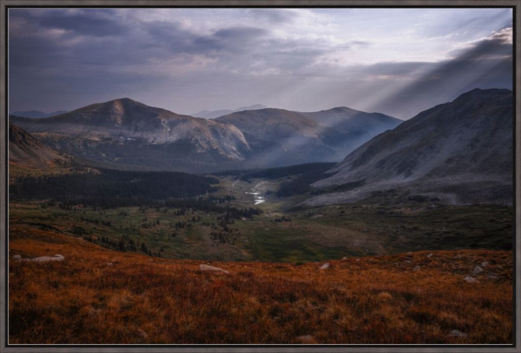 Light in the Valley