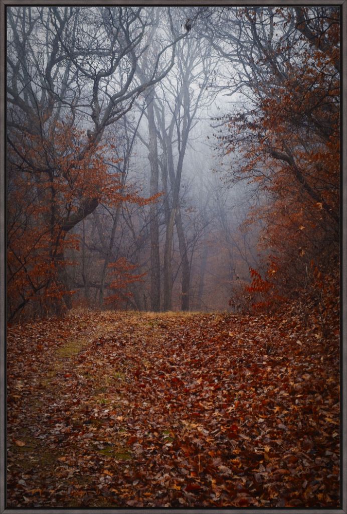 NWMO FOG 03