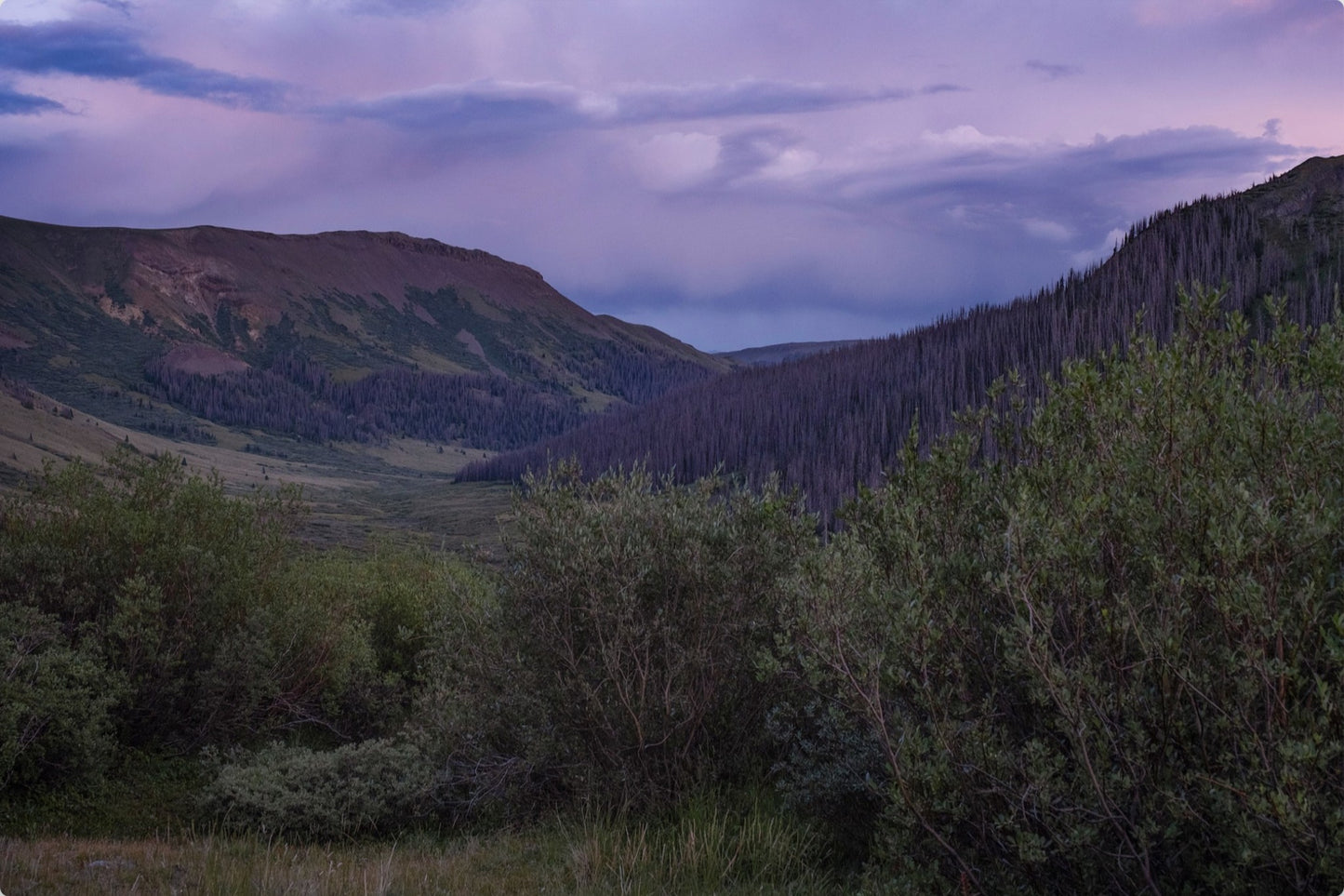 Violet Sunset I