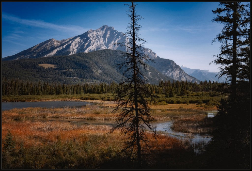 Alberta Wilderness Scene II