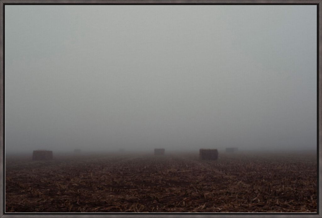 West Texas Winter Fog - 4