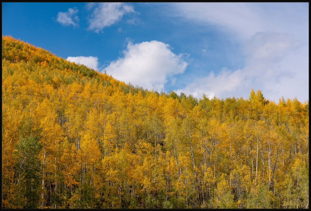 Golden Slopes