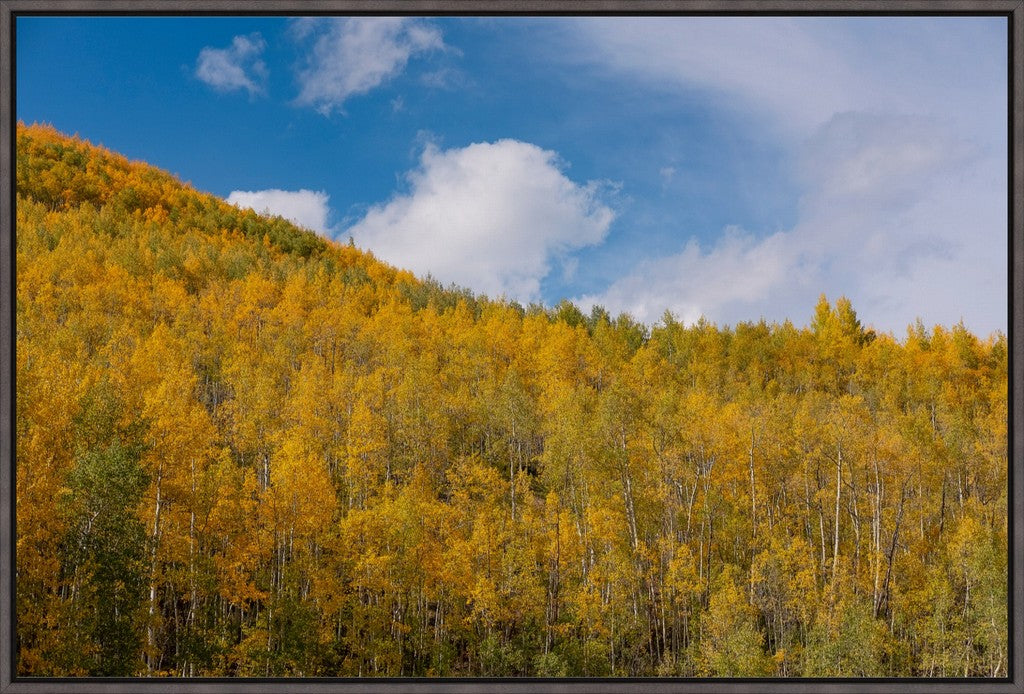 Golden Slopes