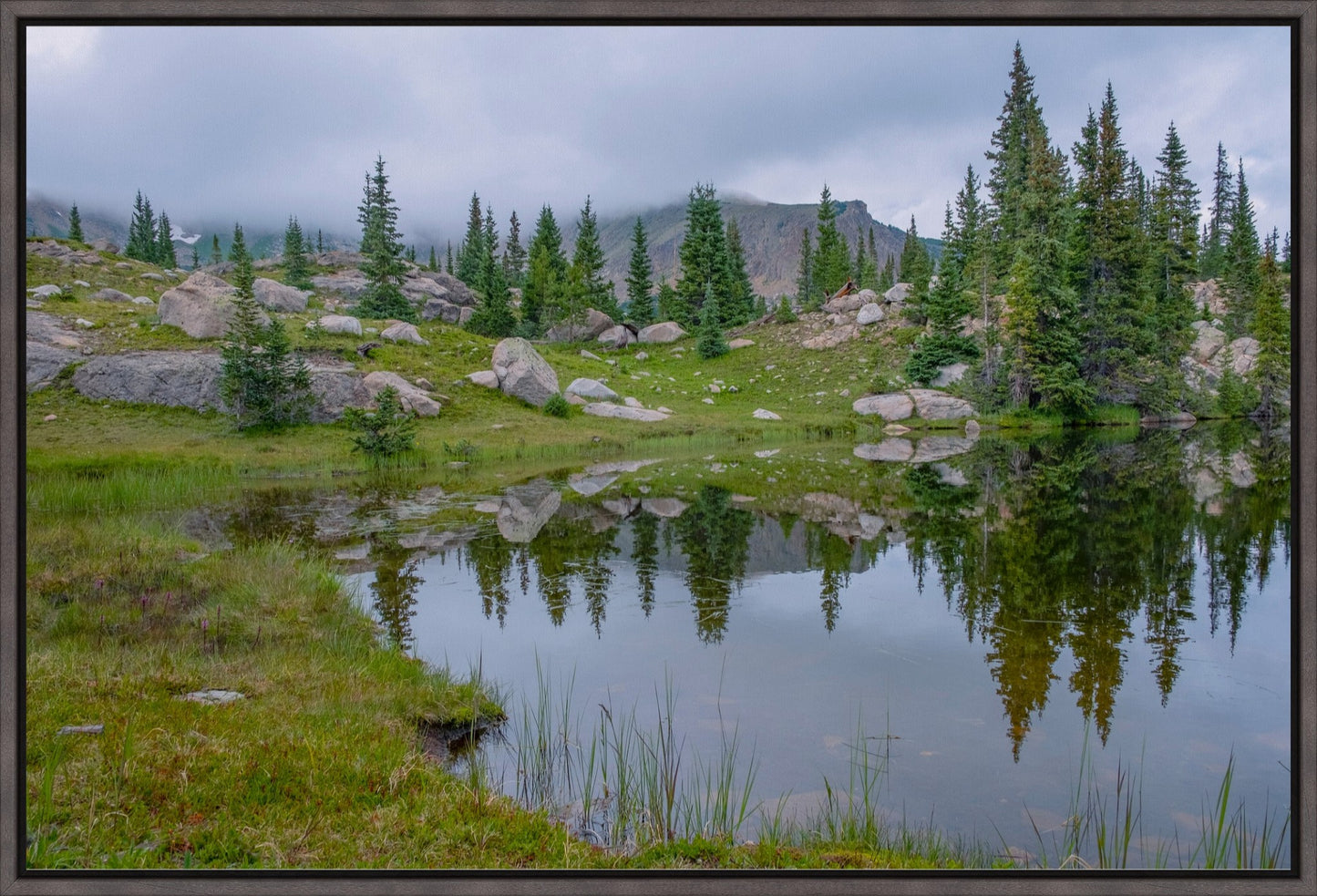 Trail Reflections