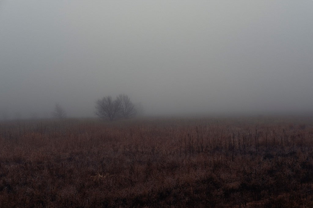 West Texas Winter Fog - 3
