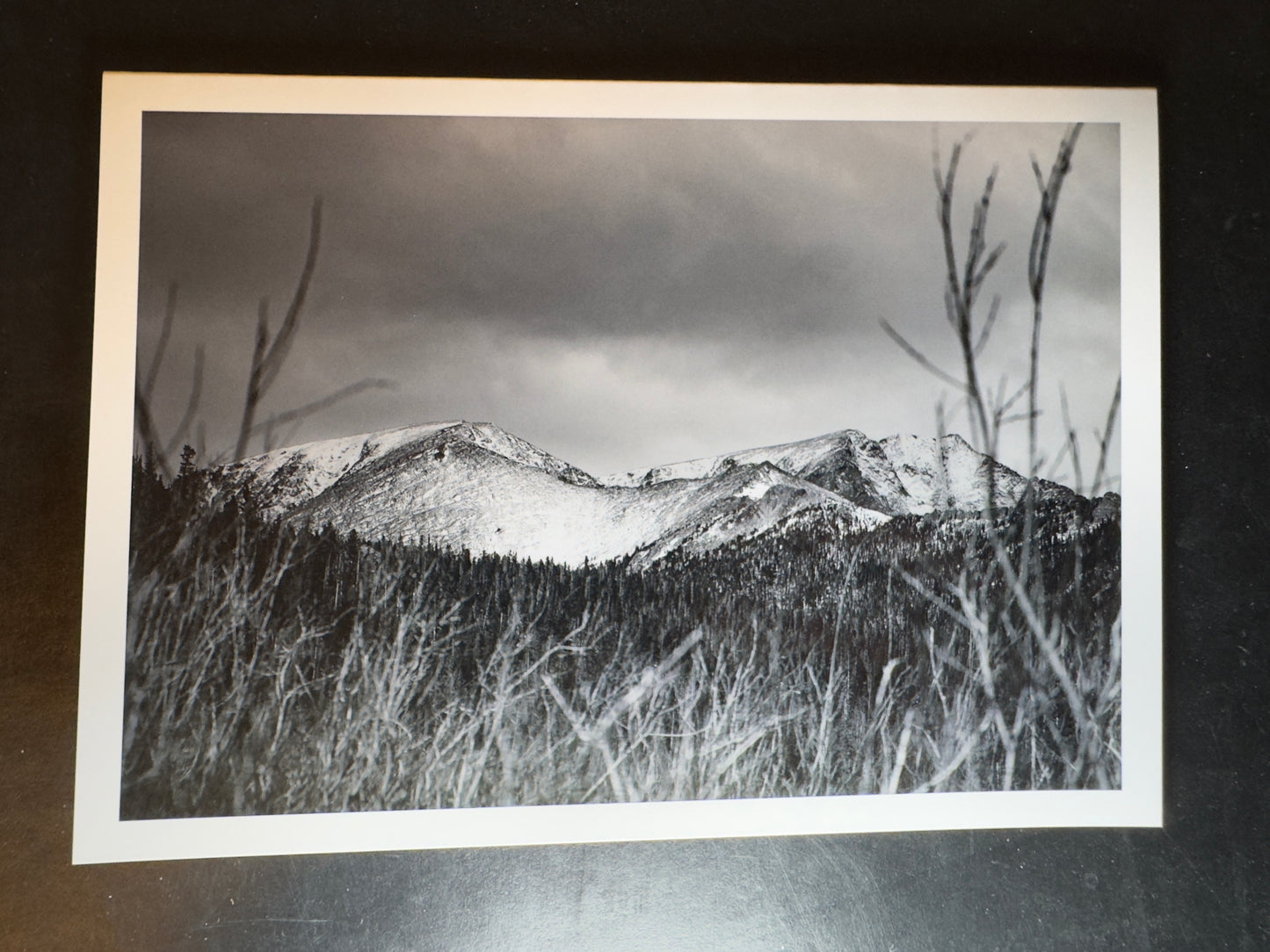 5x7 Fine Art Folding Card - Layering Low
