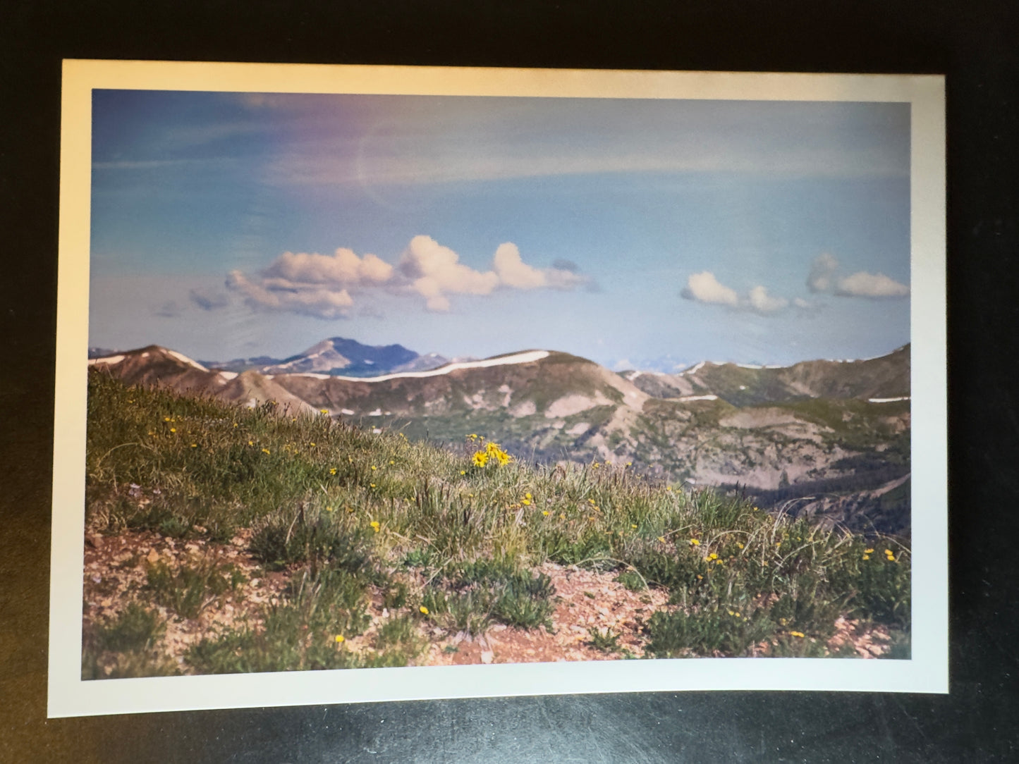 5x7 Fine Art Folding Card - Wildflower Flare
