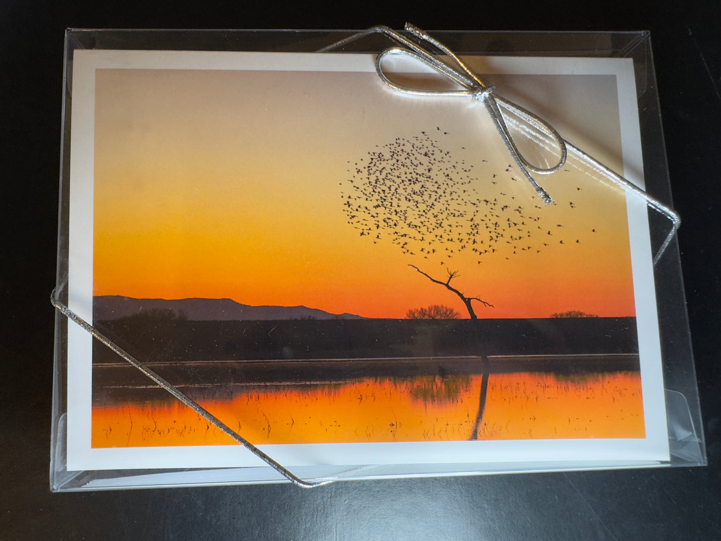 Set of 12 - 5x7 Fine Art Folding Cards - Bosque Morning Glow With Birds