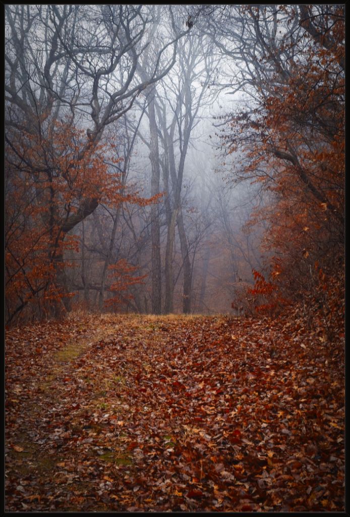NWMO FOG 03