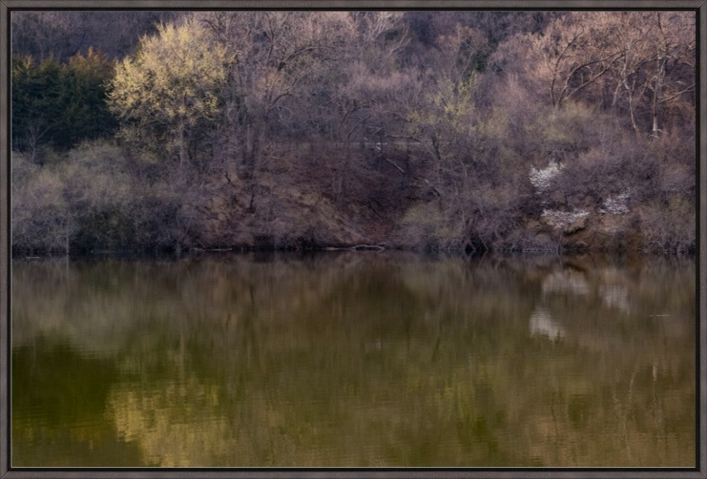 Dogwood Reflections II