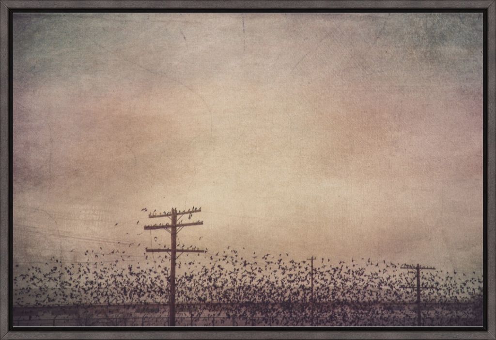 Winter Birds
