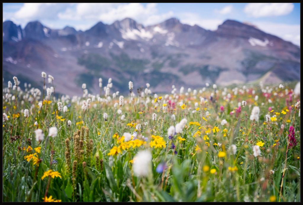 Gold at the End of Indian Trail Ridge