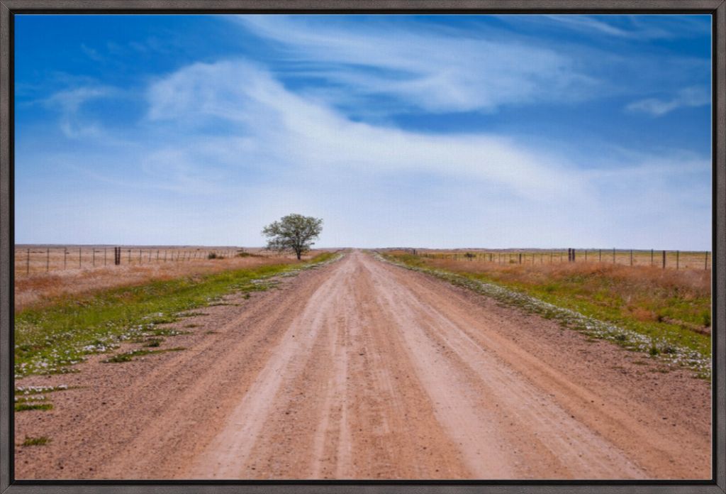 West Texas Farm Road in Summer