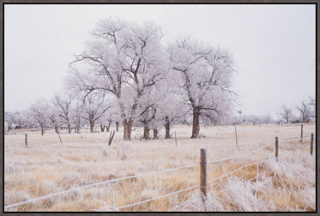 Frozen Enchantment II