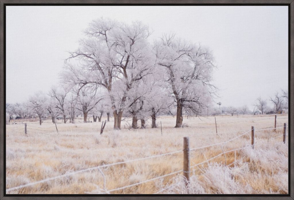 Frozen Enchantment II