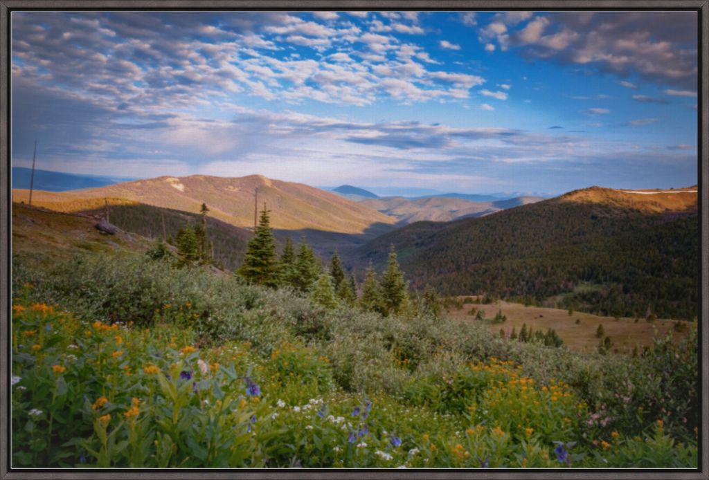 Wildflowers and Distant Valley