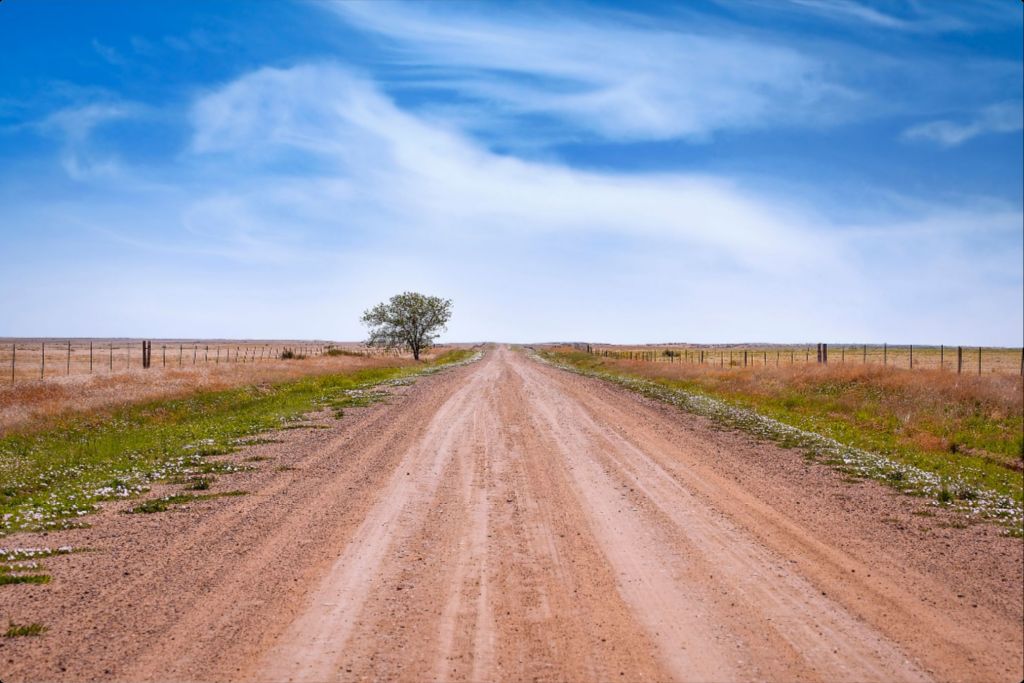 West Texas Farm Road in Summer
