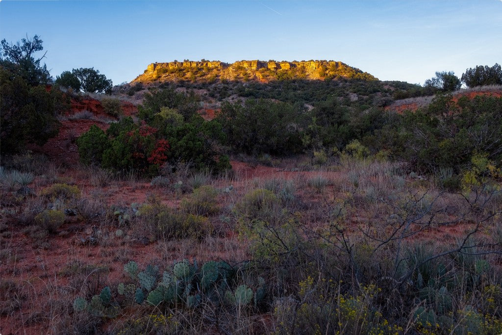 Light on the Caprock