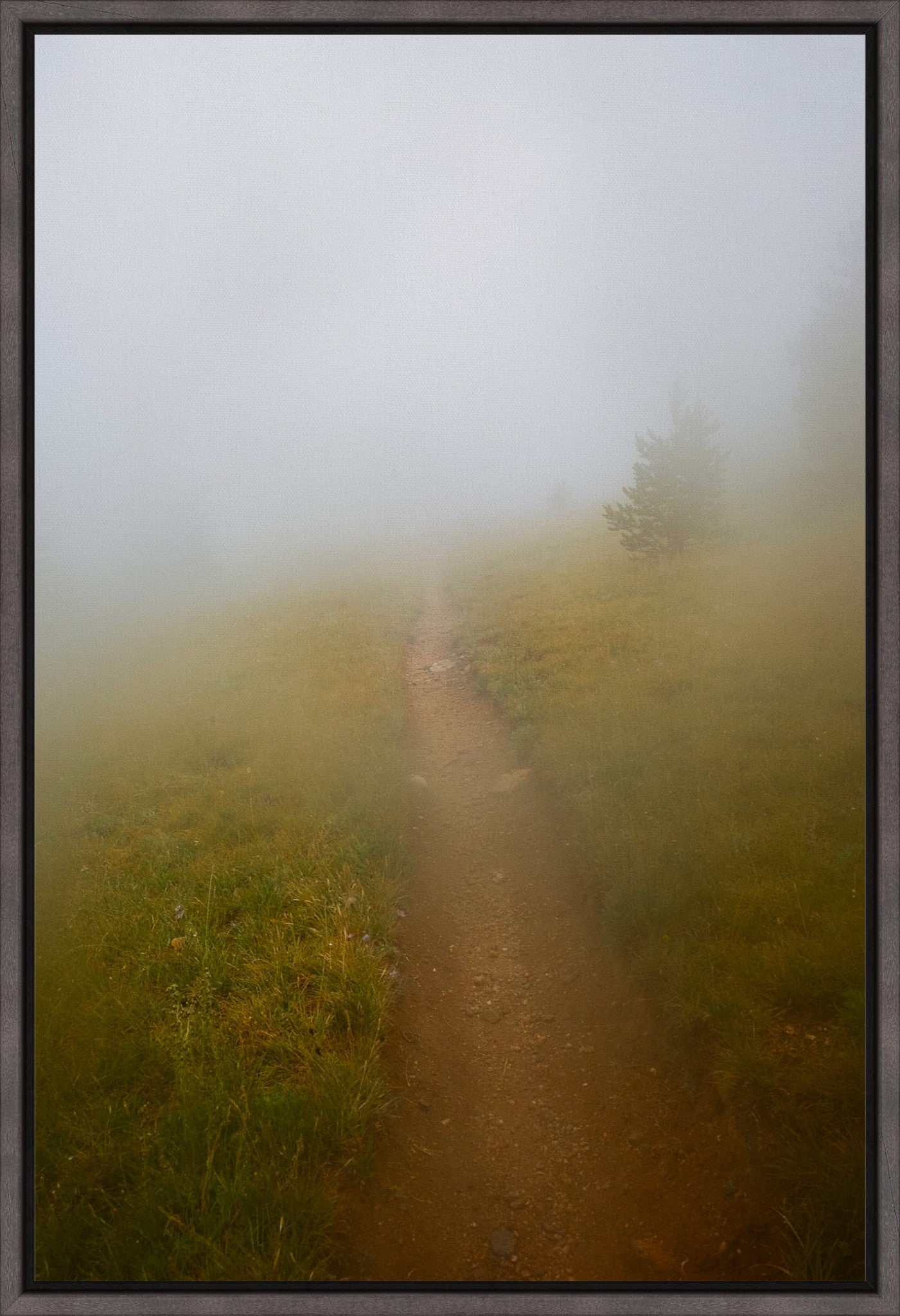 Late August Fog