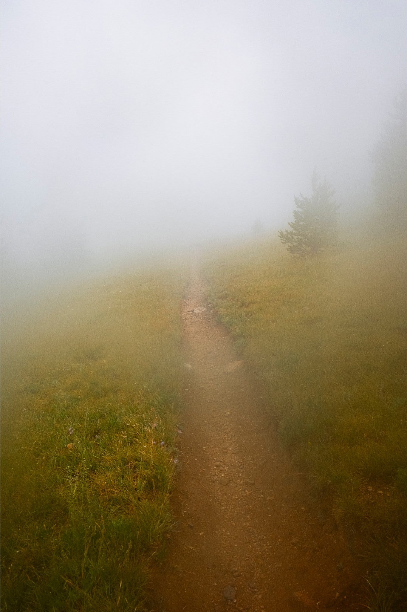 Late August Fog