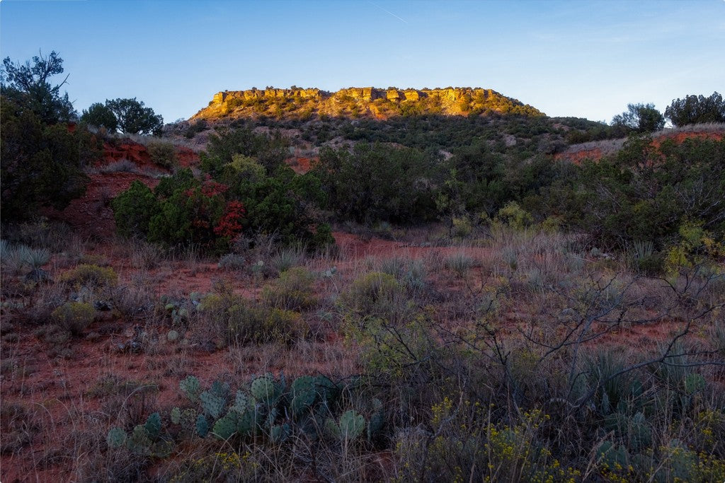 Light on the Caprock
